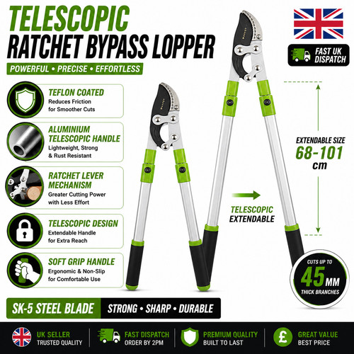 Extendable ratchet bypass - ratchet,