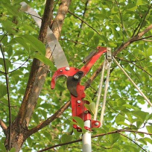 Portable extendable pole - portable,