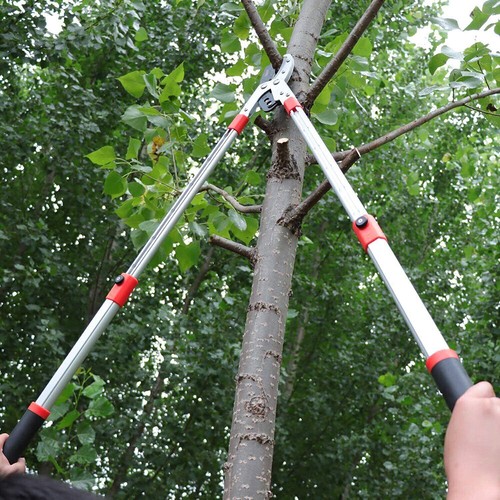 Extendable telescopic tree - extendable,