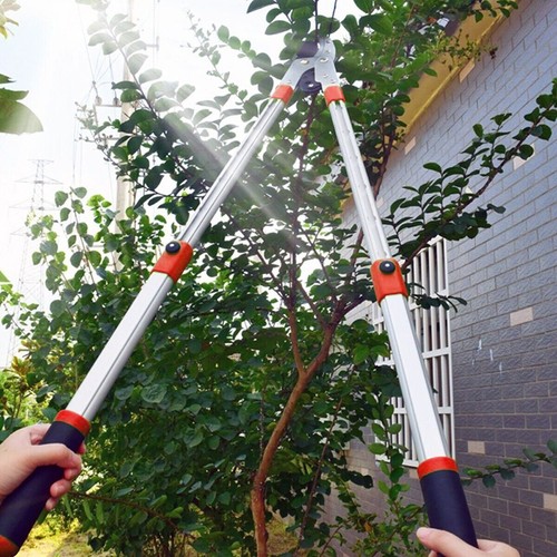 Telescopic tree loppers - telescopic,