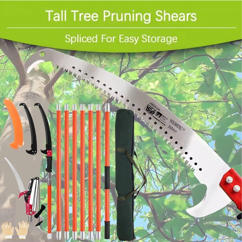 Telescopic branch cutter - branch, saw