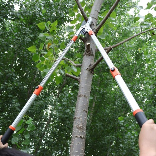 Extendable telescopic tree - extendable,