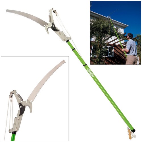 Draper 33855 tree - tree, with