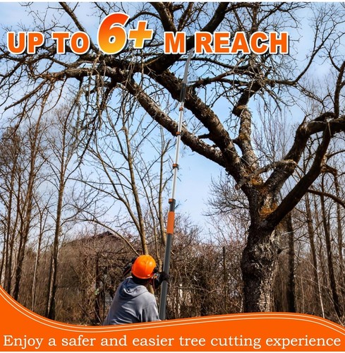 Telescopic tree pruner - tree,