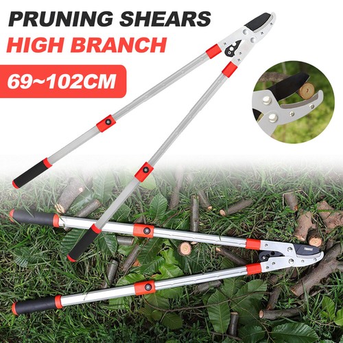 Telescopic tree loppers - loppers, or